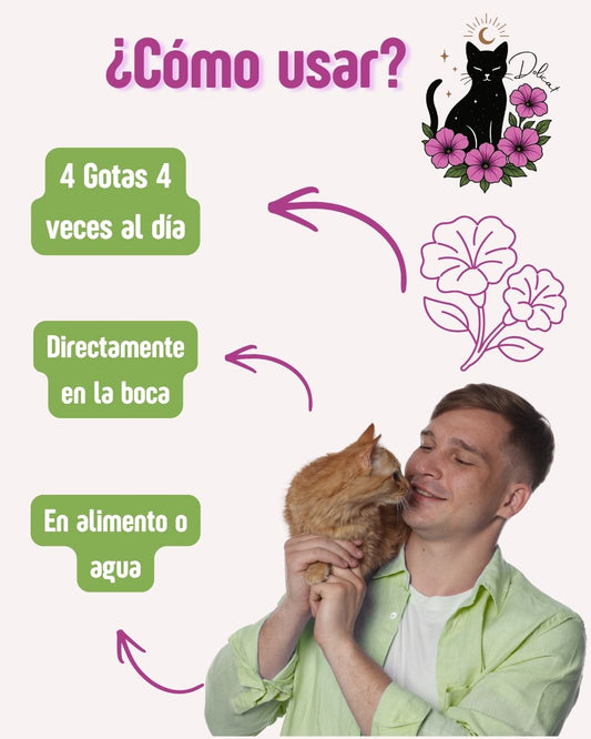 Consulta Personalizada de Flores de Bach + 3 Frascos.