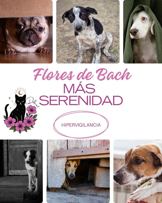 Miedo en Caninos