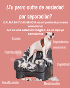 Pack 2 Flores de Bach (Ansiedad por separación)