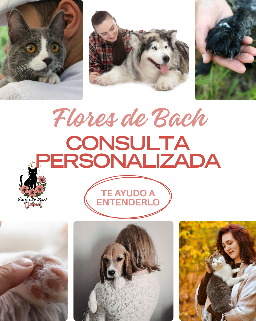 Consulta Personalizada de Flores de Bach + 3 Frascos.