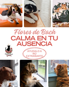 Pack 2 Flores de Bach (Ansiedad por separación)