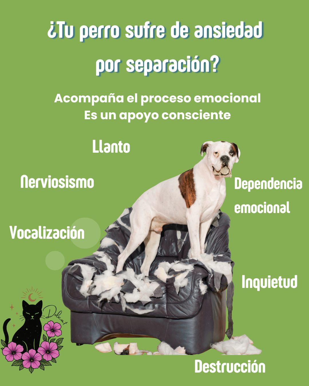Ansiedad por separación Canina