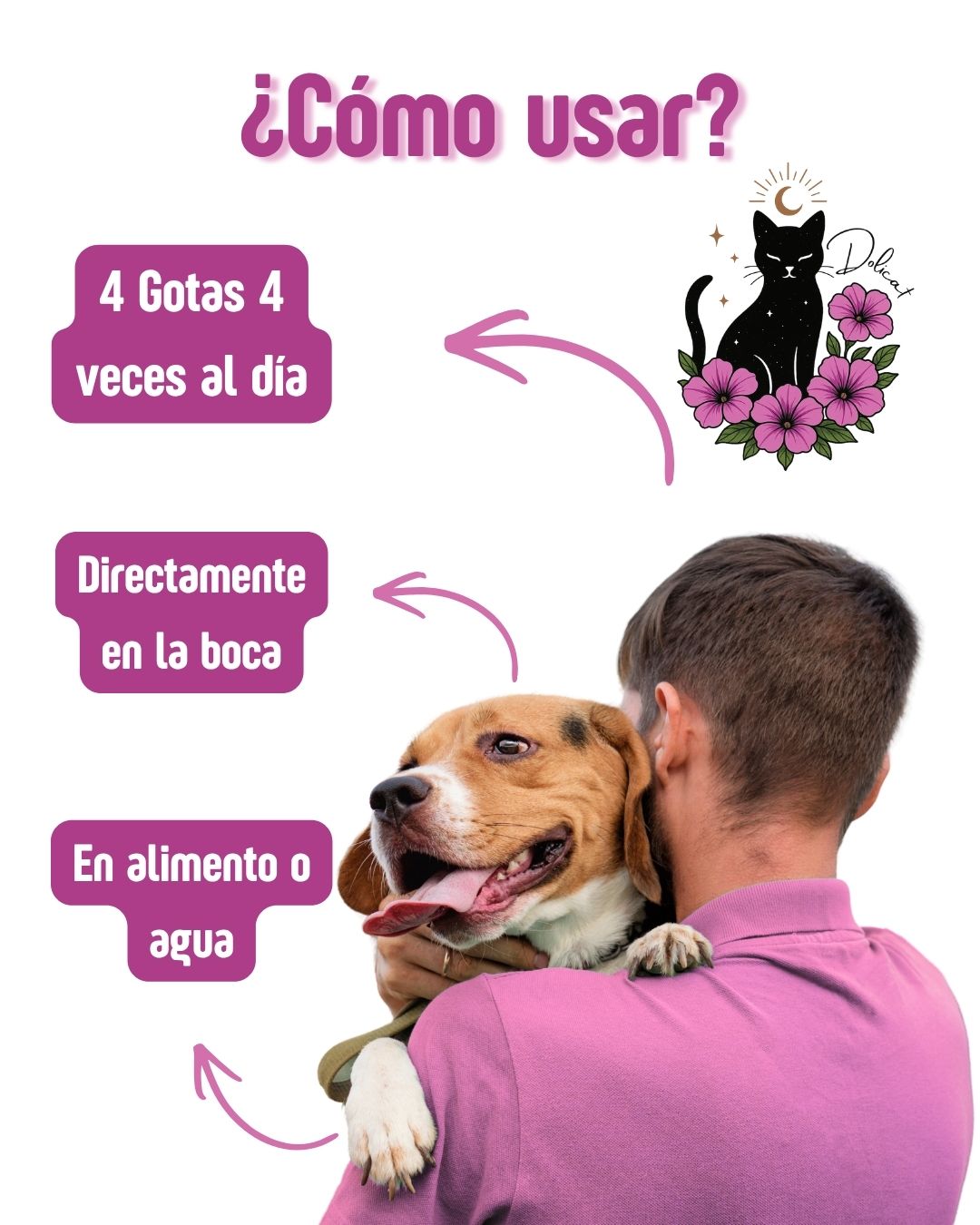 Ansiedad por separación Canina