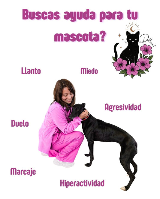 Consulta Personalizada de Flores de Bach + 3 Frascos.