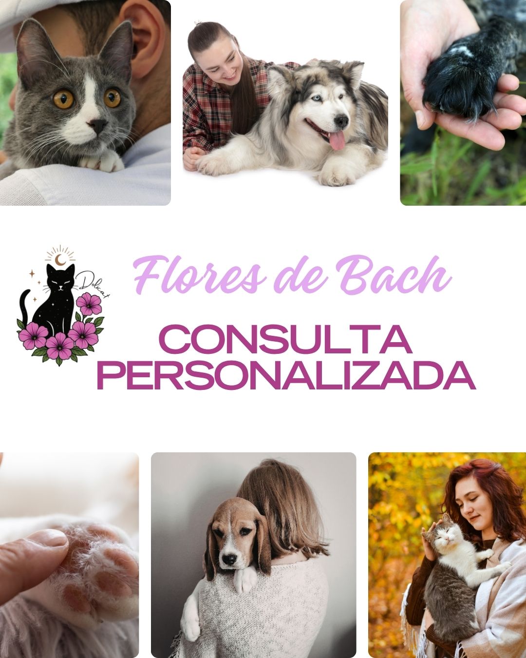 Consulta Personalizada de Flores de Bach + 3 Frascos.