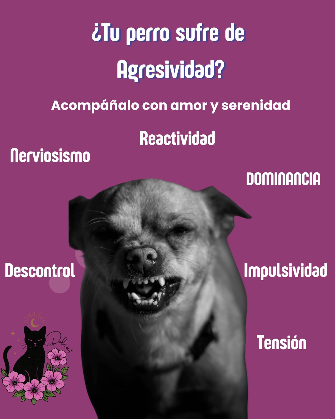 Agresividad Canina