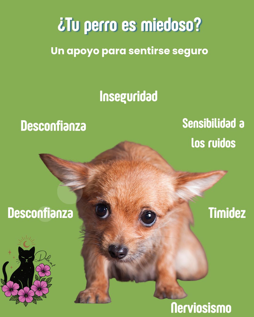 Miedo en Caninos