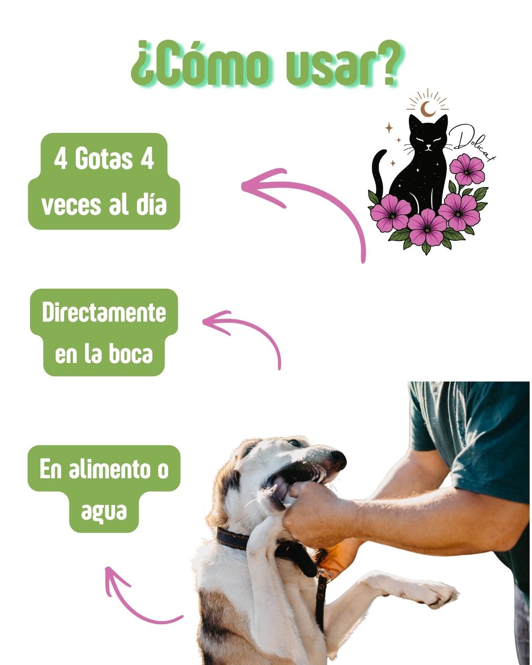 Agresividad Canina