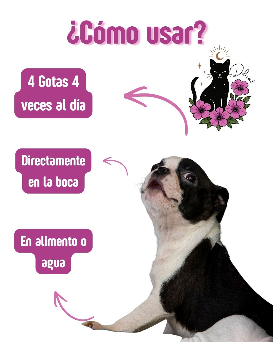 Miedo en Caninos